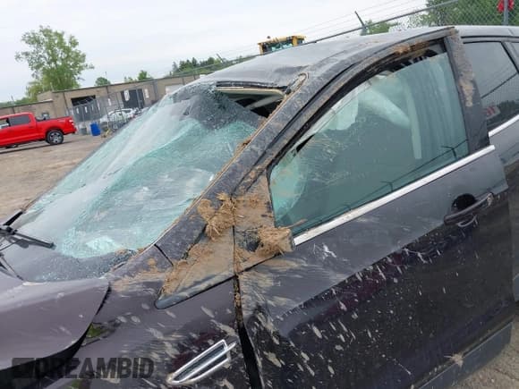 ✅ 2013 Ford Escape SE • VIN: 1FMCU9G96DUC18660 • Lot: 42398855. Listed on IAAI with 144,490 mi. Free auction sales archive from the USA and detailed vehicle history report at DreamBid. Image 6.