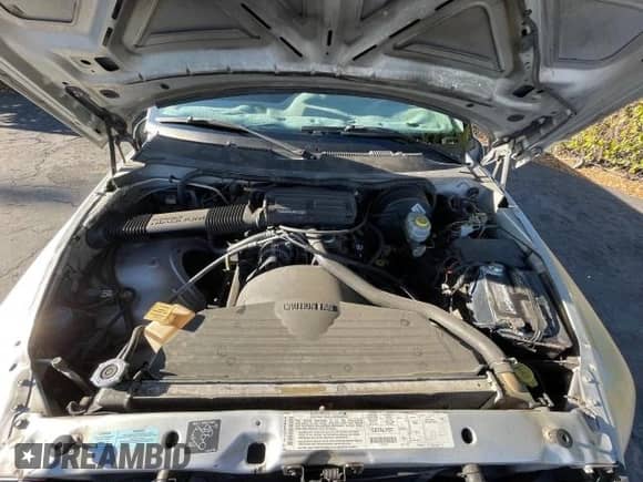 2001 Dodge 1500 Work Special с VIN 1B7HC16X31S300688, выставлен на аукционе Copart как лот 82062444 с пробегом 245 522 миль миль и Чистый • Clean title. История ставок и продаж доступна на DreamBid. Изображение 7.