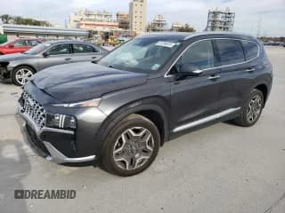 ✅ 2021 Hyundai Santa Fe Limited • VIN: 5NMS44AL5MH346337 • Lot: 81206833. Wystawiony na Copart z przebiegiem 27 990 mil. Bezpłatny archiwum sprzedaży aukcyjnych z USA i szczegółowy raport historii pojazdu na DreamBid. Zdjęcie 1.