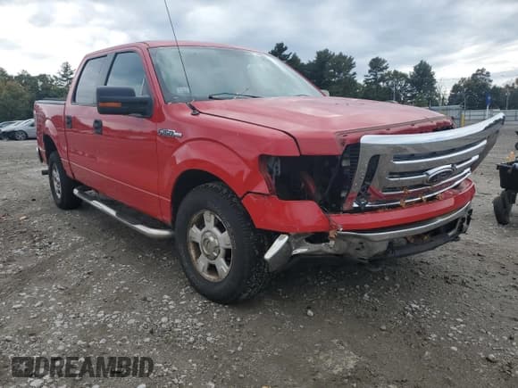 ✅ 2010 Ford F-150 XL • VIN: 1FTEW1E86AFA49744 • Lot: 85576865. Listed on Copart with 219,593 mi. Free auction sales archive from the USA and detailed vehicle history report at DreamBid. Image 4.