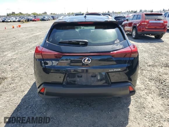 ✅ 2024 Lexus UX 250h Premium • VIN: JTHP6JBH7R2190501 • Lot: 51787365. Listed on Copart with 14,773 mi. Free auction sales archive from the USA and detailed vehicle history report at DreamBid. Image 6.