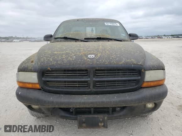 2003 Dodge Dakota Sport z VIN 1D7HL32X33S203677, wystawiony jako Copart lot #53189975 z przebiegiem 171 775 mil mil oraz Czysty tytuł • Clean title. Historia ofert i sprzedaży dostępna na DreamBid. Obrazek 5.