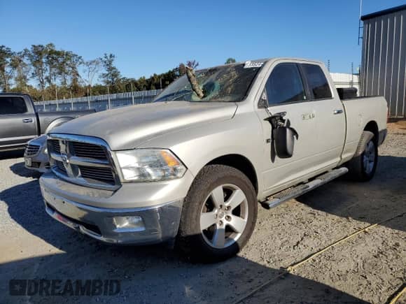 2010 Dodge 1500 ST z VIN 1D7RV1GP0AS207243, wystawiony jako Copart lot #75733524 z przebiegiem 210 032 mil mil oraz Szkoda całkowita • Salvage title. Historia ofert i sprzedaży dostępna na DreamBid. Obrazek 1.