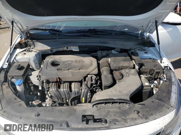 ✅ 2020 Kia Optima LX • VIN: 5XXGT4L38LG404508 • Lot: 71736715. Listed on Copart with 47,207 mi. Free auction sales archive from the USA and detailed vehicle history report at DreamBid. Image 11.