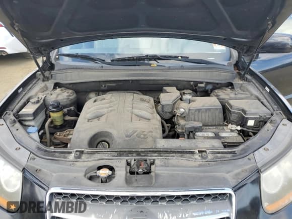 ✅ 2009 Hyundai Santa Fe Limited • VIN: 5NMSH13E09H325338 • Lot: 76334694. Listed on Copart with 161,619 mi. Free auction sales archive from the USA and detailed vehicle history report at DreamBid. Image 11.