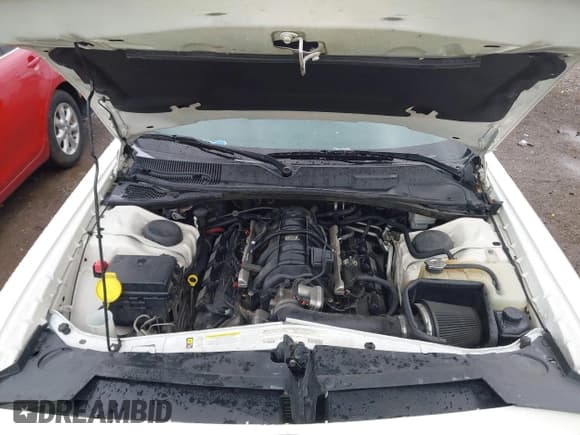 ✅ 2009 Dodge Challenger R/T • VIN: 2B3LJ54T39H572394 • Lot: 43354529. Wystawiony na IAAI z przebiegiem 152 919 mil. Bezpłatny archiwum sprzedaży aukcyjnych z USA i szczegółowy raport historii pojazdu na DreamBid. Zdjęcie 10.