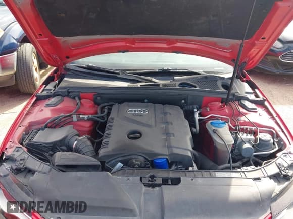 ✅ 2010 Audi A4 Premium Plus • VIN: WAUHFAFL7AN049495 • Lot: 43305642. Wystawiony na IAAI z przebiegiem 69 086 mil. Bezpłatny archiwum sprzedaży aukcyjnych z USA i szczegółowy raport historii pojazdu na DreamBid. Zdjęcie 10.