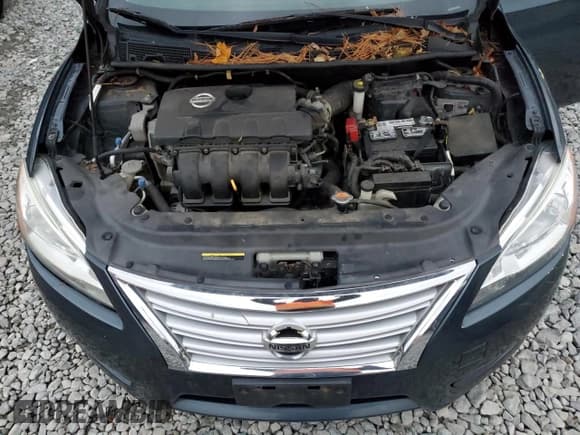 ✅ 2014 Nissan Sentra SL • VIN: 3N1AB7AP8EY269818 • Lot: 91101825. Wystawiony na Copart z przebiegiem Nie podano. Bezpłatny archiwum sprzedaży aukcyjnych z USA i szczegółowy raport historii pojazdu na DreamBid. Zdjęcie 11.