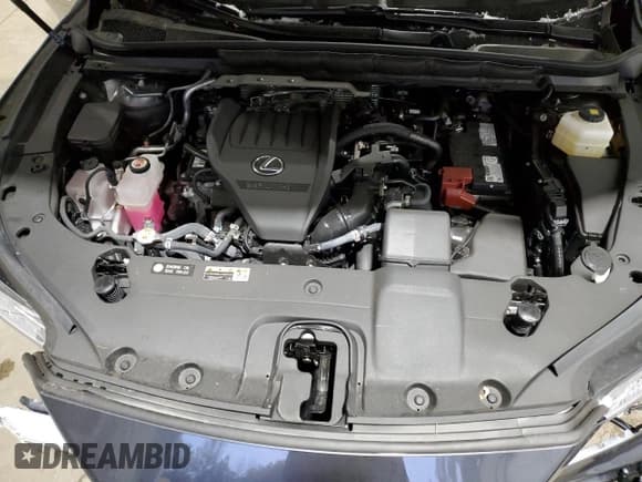 ✅ 2024 Lexus RX 350 • VIN: 2T2BAMCA6RC062910 • Лот: 47582395. Опубликован ранее на Copart с пробегом 3 159 миль. Бесплатный доступ к архиву аукционных продаж из США и подробный отчёт об истории автомобиля на DreamBid. Изображение 12.