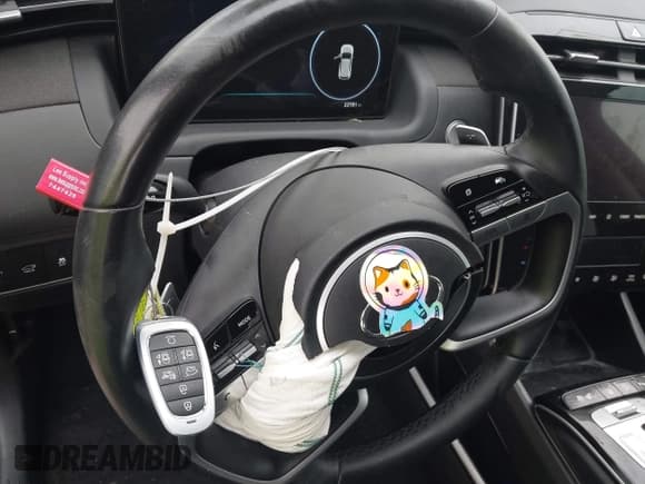 ✅ 2024 Hyundai Tucson Limited • VIN: 5NMJE3DE9RH379333 • Lot: 43113421. Listed on IAAI with 22,781 mi. Free auction sales archive from the USA and detailed vehicle history report at DreamBid. Image 11.