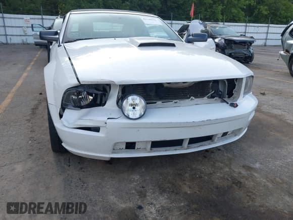 ✅ 2007 Ford Mustang GT Deluxe • VIN: 1ZVHT85HX75318578 • Lot: 42740222. Wystawiony na IAAI z przebiegiem 94 114 mil. Bezpłatny archiwum sprzedaży aukcyjnych z USA i szczegółowy raport historii pojazdu na DreamBid. Zdjęcie 6.