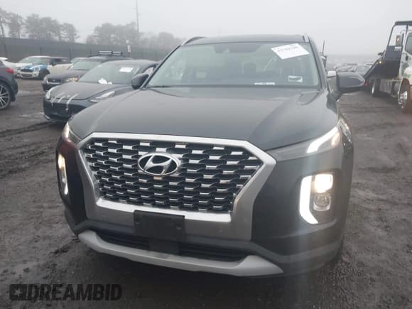 ✅ 2020 Hyundai Palisade SEL • VIN: KM8R3DHE7LU064289 • Lot: 43782386. Wystawiony na IAAI z przebiegiem 73 566 mil. Bezpłatny archiwum sprzedaży aukcyjnych z USA i szczegółowy raport historii pojazdu na DreamBid. Zdjęcie 12.
