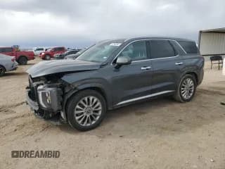 ✅ 2020 Hyundai Palisade Limited • VIN: KM8R54HE8LU121822 • Лот: 42583585. Опубликован ранее на Copart с пробегом 46 199 миль. Бесплатный доступ к архиву аукционных продаж из США и подробный отчёт об истории автомобиля на DreamBid. Изображение 1.