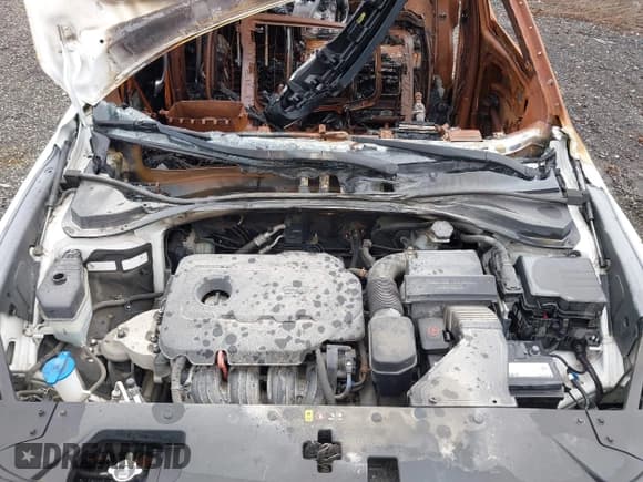 ✅ 2019 Hyundai Santa Fe Ultimate • VIN: 5NMS5CAD3KH054098 • Лот: 36305958. Опубликован ранее на IAAI с пробегом Не указан. Бесплатный доступ к архиву аукционных продаж из США и подробный отчёт об истории автомобиля на DreamBid. Изображение 10.