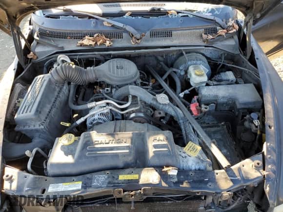 2002 Dodge Dakota с VIN 1B7GL12X22S528636, выставлен на аукционе Copart как лот 85499345 с пробегом 179 690 миль миль и Списание • Salvage title. История ставок и продаж доступна на DreamBid. Изображение 11.