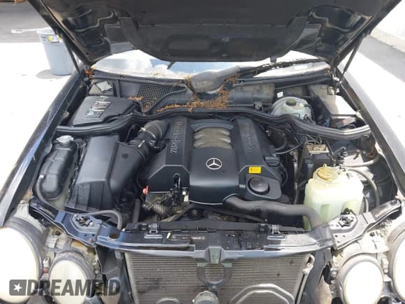 ✅ 2002 Mercedes-Benz E 320 • VIN: WDBJF65J82B479202 • Lot: 42638744. Listed on IAAI with 205,814 mi. Free auction sales archive from the USA and detailed vehicle history report at DreamBid. Image 10.