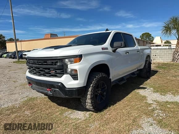 ✅ 2022 Chevrolet Silverado 1500 Custom Trail Boss • VIN: 3GCUDCET0NG553356 • Лот: 92641155. Опубликован ранее на Copart с пробегом 134 759 миль. Бесплатный доступ к архиву аукционных продаж из США и подробный отчёт об истории автомобиля на DreamBid. Изображение 2.