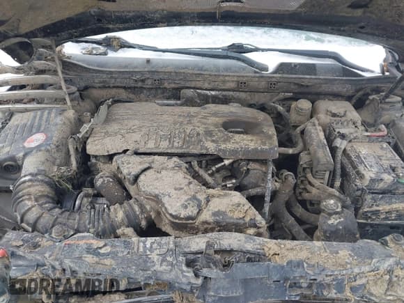 ✅ 2011 Buick Regal CXL RL2 • VIN: 2G4GP5EC5B9185208 • Lot: 41264795. Listed on IAAI with 200,647 mi. Free auction sales archive from the USA and detailed vehicle history report at DreamBid. Image 10.