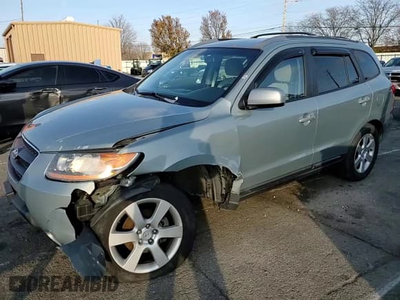 ✅ 2009 Hyundai Santa Fe SE • VIN: 5NMSH13EX9H234979 • Lot: 82683544. Listed on Copart with 89,438 mi. Free auction sales archive from the USA and detailed vehicle history report at DreamBid. Image 12.