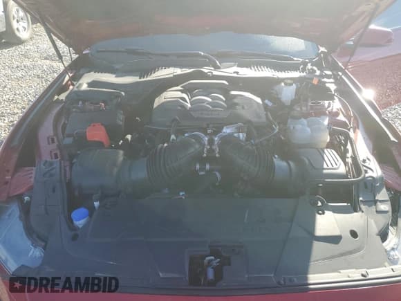 ✅ 2024 Ford Mustang GT Premium • VIN: 1FA6P8CF6R5420680 • Lot: 84753185. Listed on Copart with 14,515 mi. Free auction sales archive from the USA and detailed vehicle history report at DreamBid. Image 11.