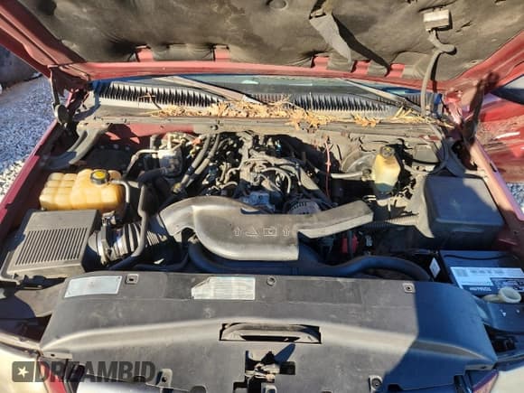 ✅ 2002 Cadillac Escalade • VIN: 1GYEC63T02R122971 • Lot: 92588685. Wystawiony na Copart z przebiegiem Nie podano. Bezpłatny archiwum sprzedaży aukcyjnych z USA i szczegółowy raport historii pojazdu na DreamBid. Zdjęcie 12.