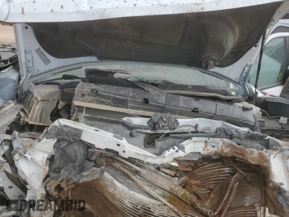 ✅ 2024 Chevrolet Silverado 2500HD • VIN: 1GB4YNEY8RF153116 • Лот: 44559365. Опубликован ранее на Copart с пробегом Не указан. Бесплатный доступ к архиву аукционных продаж из США и подробный отчёт об истории автомобиля на DreamBid. Изображение 11.