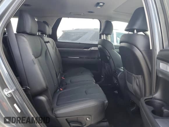 2023 Hyundai Palisade SEL с VIN KM8R4DGE0PU589585, выставлен на аукционе Copart как лот 74670494 с пробегом 8 132 миль миль и Списание • Salvage title. История ставок и продаж доступна на DreamBid. Изображение 11.