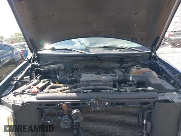 ✅ 2009 Ford F-150 STX • VIN: 1FTRX12W49FB14877 • Lot: 42636981. Wystawiony na IAAI z przebiegiem 127 093 mil. Bezpłatny archiwum sprzedaży aukcyjnych z USA i szczegółowy raport historii pojazdu na DreamBid. Zdjęcie 10.