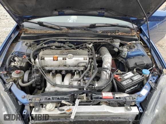 ✅ 2003 Acura RSX Type S • VIN: JH4DC53013C011611 • Lot: 49858805. Listed on Copart with 211,705 mi. Free auction sales archive from the USA and detailed vehicle history report at DreamBid. Image 11.