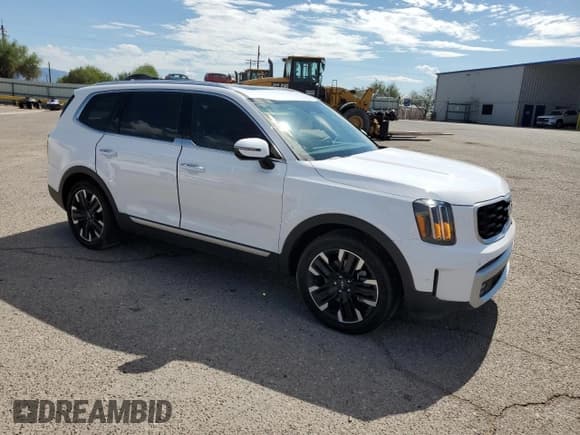✅ 2024 Kia Telluride SX • VIN: 5XYP5DGC0RG524618 • Лот: 81097905. Опубликован ранее на Copart с пробегом 10 451 миль. Бесплатный доступ к архиву аукционных продаж из США и подробный отчёт об истории автомобиля на DreamBid. Изображение 4.