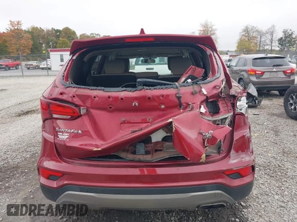 ✅ 2017 Hyundai Santa Fe 2.4L • VIN: 5XYZTDLB7HG403529 • Lot: 43428533. Listed on IAAI with 119,836 mi. Free auction sales archive from the USA and detailed vehicle history report at DreamBid. Image 6.