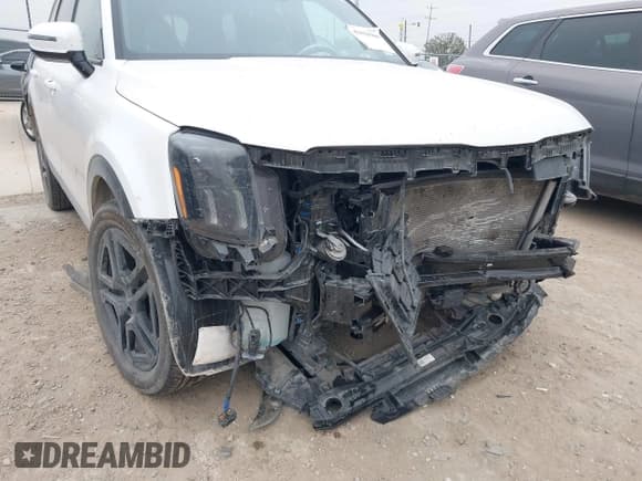✅ 2024 Kia Telluride SX Prestige X-Pro • VIN: 5XYP5DGCXRG490882 • Lot: 41634304. Wystawiony na IAAI z przebiegiem 30 476 mil. Bezpłatny archiwum sprzedaży aukcyjnych z USA i szczegółowy raport historii pojazdu na DreamBid. Zdjęcie 6.