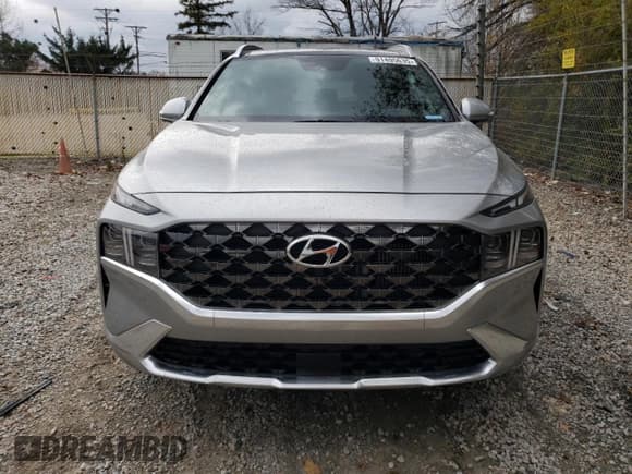 ✅ 2023 Hyundai Santa Fe Calligraphy • VIN: 5NMS5DAL9PH604070 • Lot: 91495635. Listed on Copart with 23,774 mi. Free auction sales archive from the USA and detailed vehicle history report at DreamBid. Image 5.