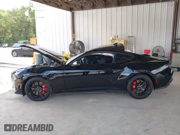 ✅ 2025 Ford Mustang GT • VIN: 1FA6P8CF7S5400976 • Lot: 42441842. Listed on IAAI with Not provided. Free auction sales archive from the USA and detailed vehicle history report at DreamBid. Image 13.