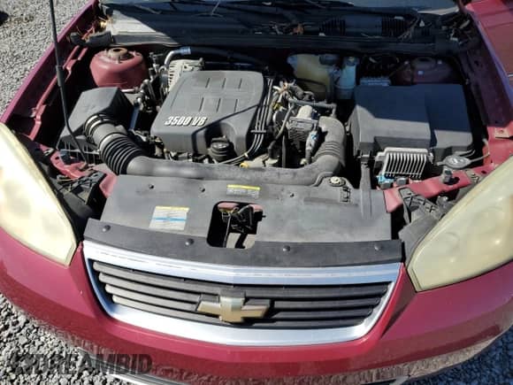 2006 Chevrolet Malibu 2LT with VIN 1G1ZT51846F287972, listed as a Copart auction lot 74553054 with Not provided miles and Salvage title. Bid and sale history available at DreamBid. Image 11.