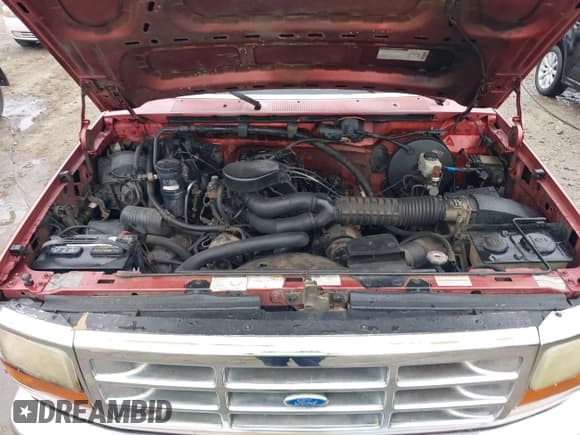 ✅ 1994 Ford F-150 • VIN: 1FTEX15N9RKB01017 • Lot: 43853753. Listed on IAAI with Not provided. Free auction sales archive from the USA and detailed vehicle history report at DreamBid. Image 10.