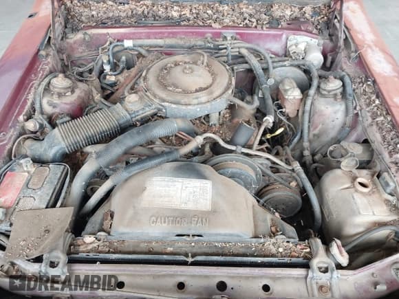 ✅ 1984 Ford Thunderbird • VIN: 1FABP4630EA111572 • Lot: 41569309. Listed on IAAI with 7,919 mi. Free auction sales archive from the USA and detailed vehicle history report at DreamBid. Image 10.