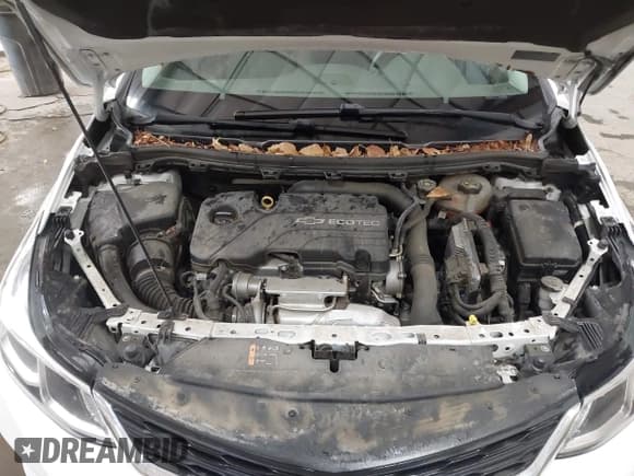 ✅ 2016 Chevrolet Cruze LS • VIN: 1G1BB5SMXG7272517 • Lot: 41283610. Listed on IAAI with 57,497 mi. Free auction sales archive from the USA and detailed vehicle history report at DreamBid. Image 10.