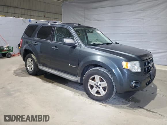 ✅ 2009 Ford Escape Hybrid • VIN: 1FMCU59369KC21031 • Lot: 48251285. Listed on Copart with 164,868 mi. Free auction sales archive from the USA and detailed vehicle history report at DreamBid. Image 4.