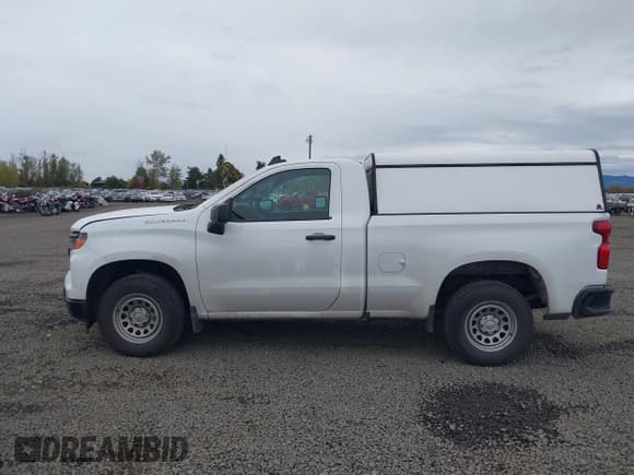 ✅ 2023 Chevrolet Silverado 1500 Work Truck • VIN: 3GCNAAEK2PG353011 • Lot: 43521834. Listed on IAAI with 110,957 mi. Free auction sales archive from the USA and detailed vehicle history report at DreamBid. Image 14.