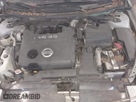 ✅ 2008 Nissan Altima SE • VIN: 1N4BL21E28N431546 • Lot: 41667628. Listed on IAAI with Not provided. Free auction sales archive from the USA and detailed vehicle history report at DreamBid. Image 10.