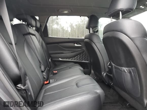 ✅ 2020 Hyundai Santa Fe Limited • VIN: 5NMS53AD1LH206915 • Lot: 42157125. Wystawiony na Copart z przebiegiem 58 052 mil. Bezpłatny archiwum sprzedaży aukcyjnych z USA i szczegółowy raport historii pojazdu na DreamBid. Zdjęcie 11.