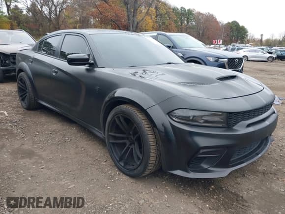 ✅ 2016 Dodge Charger Police • VIN: 2C3CDXKT2GH260122 • Lot: 43666270. Wystawiony na IAAI z przebiegiem 121 829 mil. Bezpłatny archiwum sprzedaży aukcyjnych z USA i szczegółowy raport historii pojazdu na DreamBid. Zdjęcie 1.