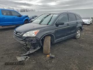 ✅ 2010 Honda CR-V LX • VIN: 5J6RE4H36AL040561 • Lot: 96288755. Listed on Copart with Not provided. Free auction sales archive from the USA and detailed vehicle history report at DreamBid. Image 1.