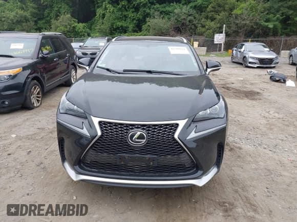 ✅ 2017 Lexus NX 200t • VIN: JTJBARBZ7H2147385 • Lot: 42705042. Wystawiony na IAAI z przebiegiem 85 214 mil. Bezpłatny archiwum sprzedaży aukcyjnych z USA i szczegółowy raport historii pojazdu na DreamBid. Zdjęcie 13.