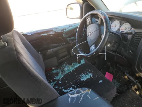 ✅ 2004 Dodge 1500 SLT • VIN: 1D7HA18D04S732688 • Лот: 89933965. Опубликован ранее на Copart с пробегом 319 242 миль. Бесплатный доступ к архиву аукционных продаж из США и подробный отчёт об истории автомобиля на DreamBid. Изображение 7.