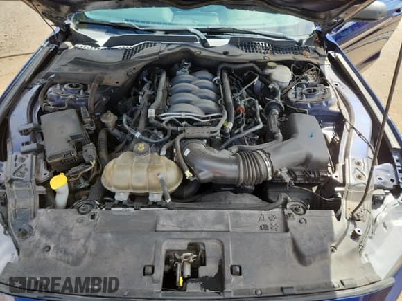 ✅ 2019 Ford Mustang GT • VIN: 1FA6P8CF5K5118819 • Lot: 71890585. Listed on Copart with 105,037 mi. Free auction sales archive from the USA and detailed vehicle history report at DreamBid. Image 11.