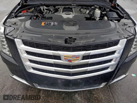 ✅ 2017 Cadillac Escalade ESV Luxury • VIN: 1GYS4HKJ3HR128347 • Lot: 95764855. Listed on Copart with 182,683 mi. Free auction sales archive from the USA and detailed vehicle history report at DreamBid. Image 12.