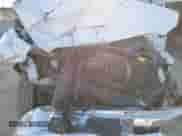 2024 Ram 1500 SLT z VIN 1C6RR6GG1RS142837, wystawiony jako Copart lot #50656995 z przebiegiem 22 521 mil mil oraz Nie do naprawy • Non repairable. Historia ofert i sprzedaży dostępna na DreamBid. Obrazek 11.