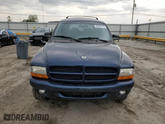 ✅ 2000 Dodge Durango • VIN: 1B4HS28N7YF287898 • Lot: 58996215. Wystawiony na Copart z przebiegiem 135 442 mil. Bezpłatny archiwum sprzedaży aukcyjnych z USA i szczegółowy raport historii pojazdu na DreamBid. Zdjęcie 5.